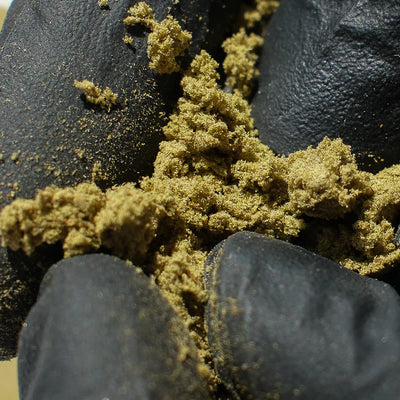 Dry Sift Amnesia 20% CBD