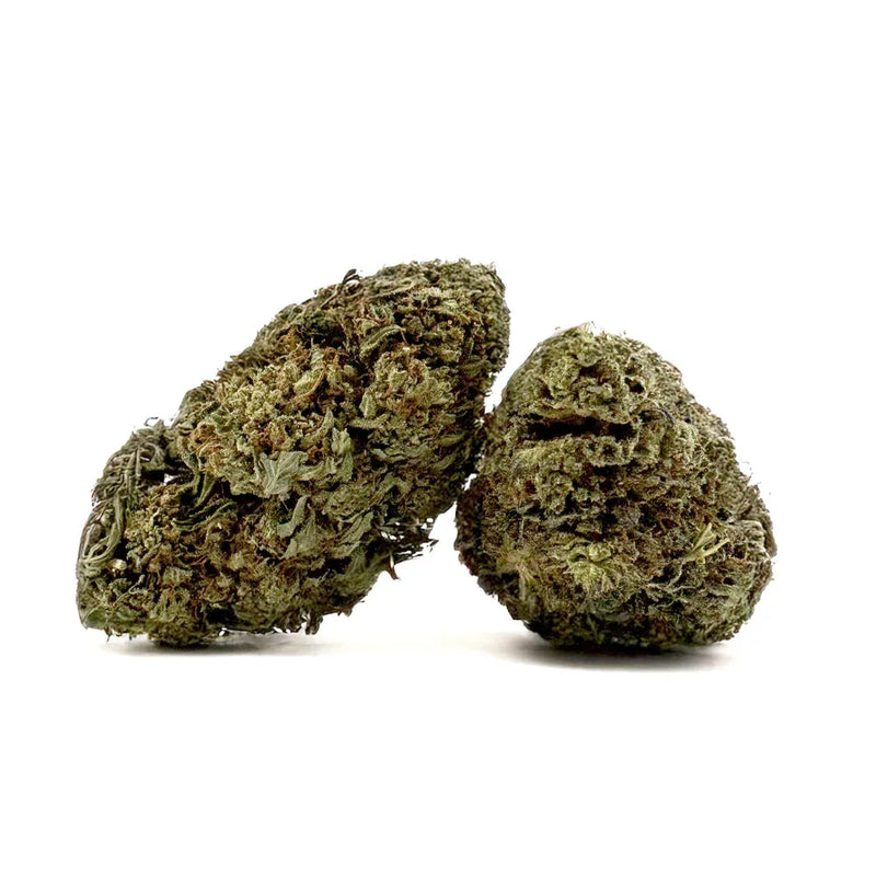 Critical Greenhouse