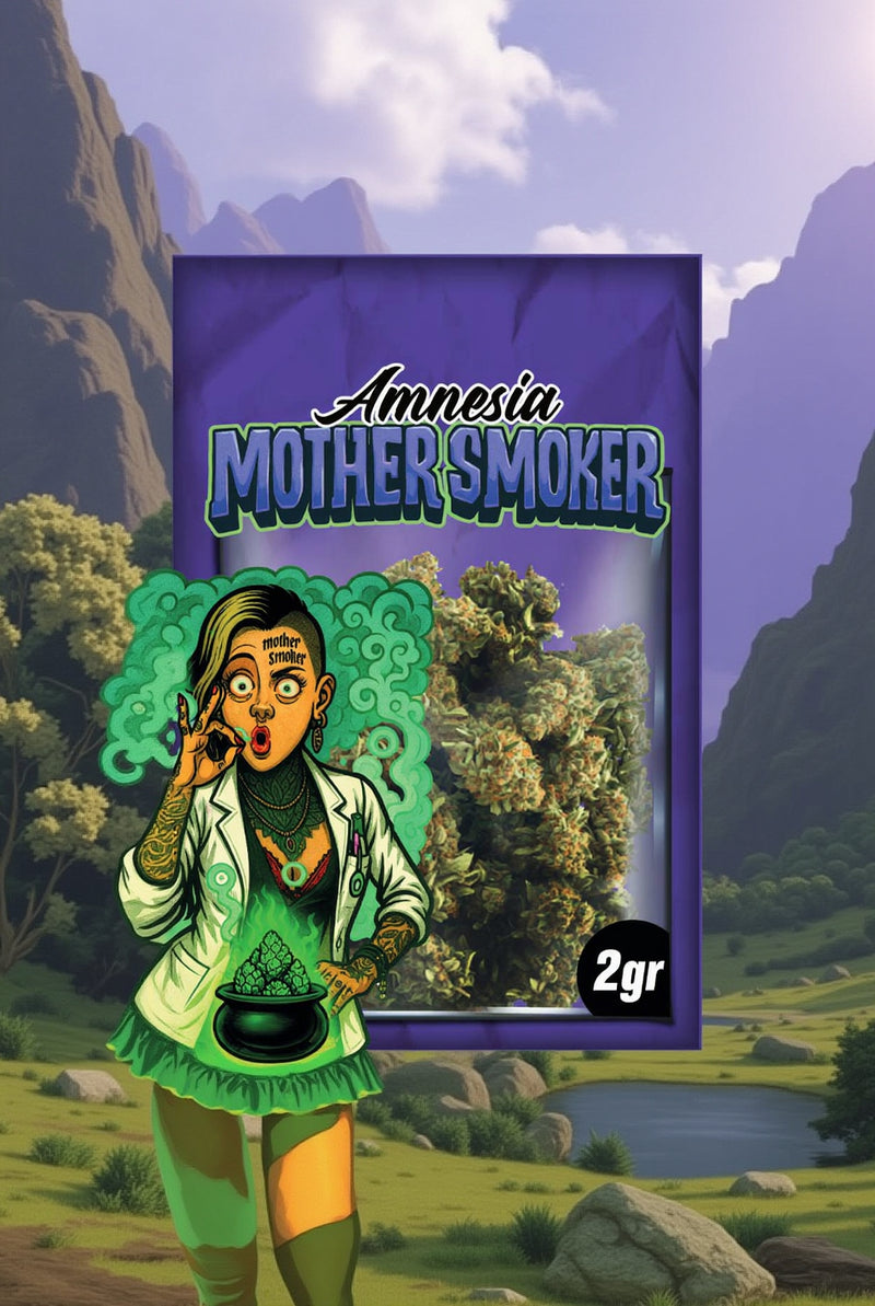 Mother Smoker - Amnesia
