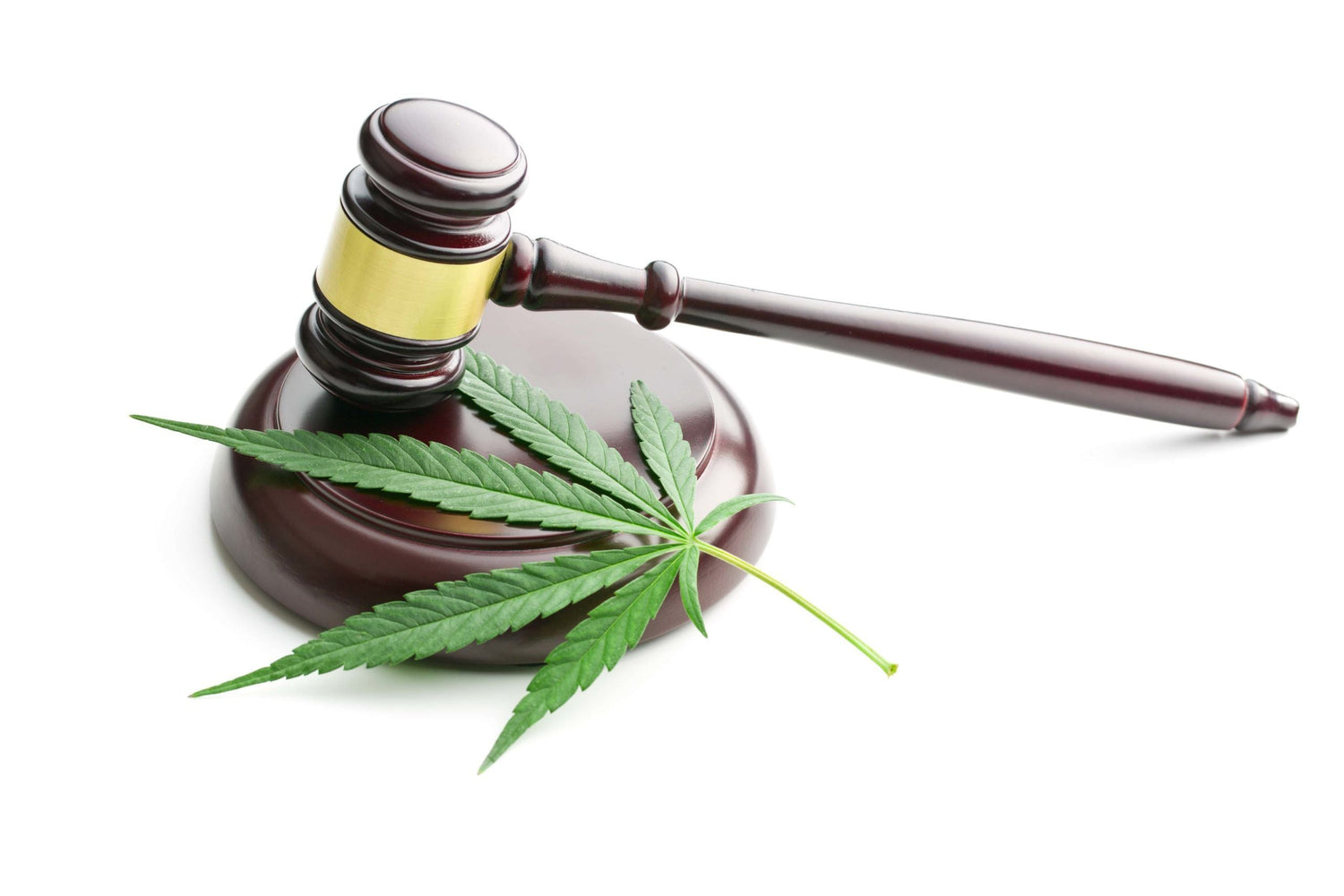 CBD légal en France : ce que dit vraiment la loi (guide complet 2026)