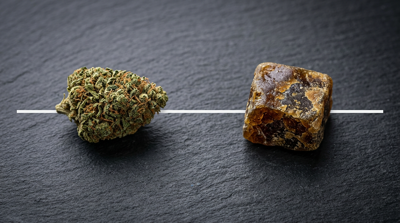 Fleur de CBD vs Résine CBD : Différences, Effets et Que Choisir ?