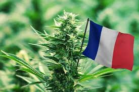 acheter fleur CBD France