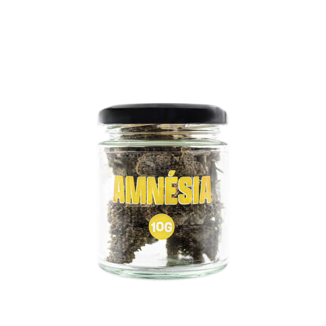 Smooth Company - Fleur CBD Amnésia Indoor