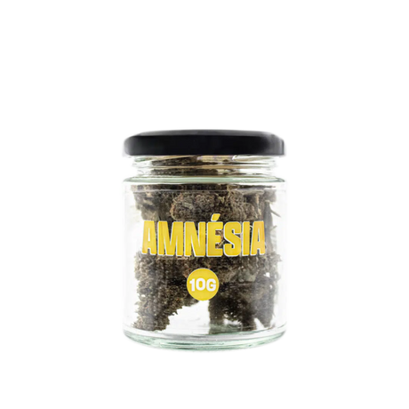 Amnésia Indoor