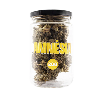 Fleur CBD Amnésia Indoor. - Smooth Company -