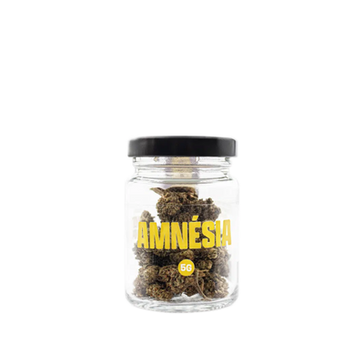 Amnésia Indoor
