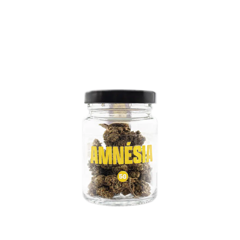 Amnésia Indoor