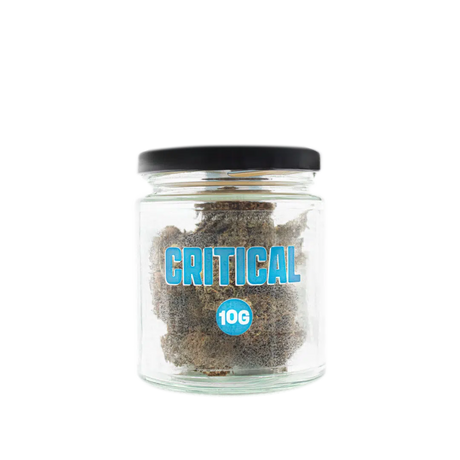 Critical Greenhouse