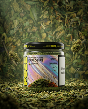 POZE - TRIM 5G ECLATS DE FLEURS INDOOR