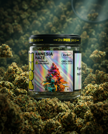 POZE EN POT - FLEUR AMNESIA HAZE EXPLOSIVE 2,5GR