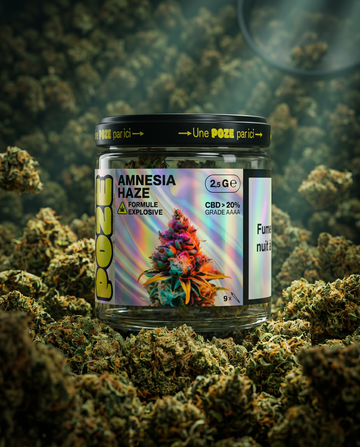 POZE EN POT - FLEUR AMNESIA HAZE EXPLOSIVE 2,5GR