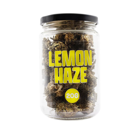 Lemon Haze Greenhouse
