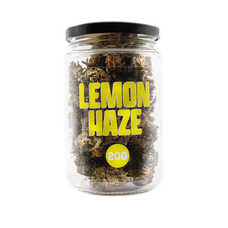 Lemon Haze Greenhouse