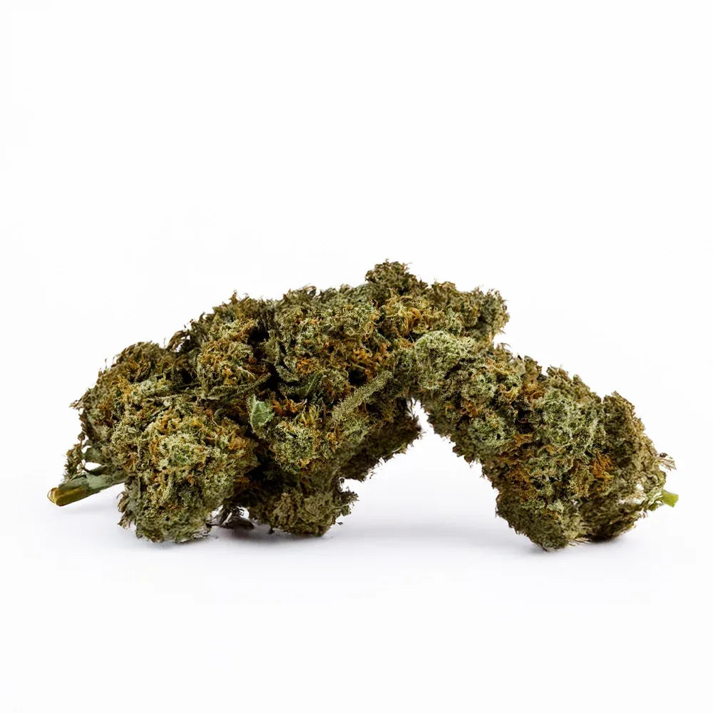 Fleur CBD Amnesia Indoor – CloudClub France