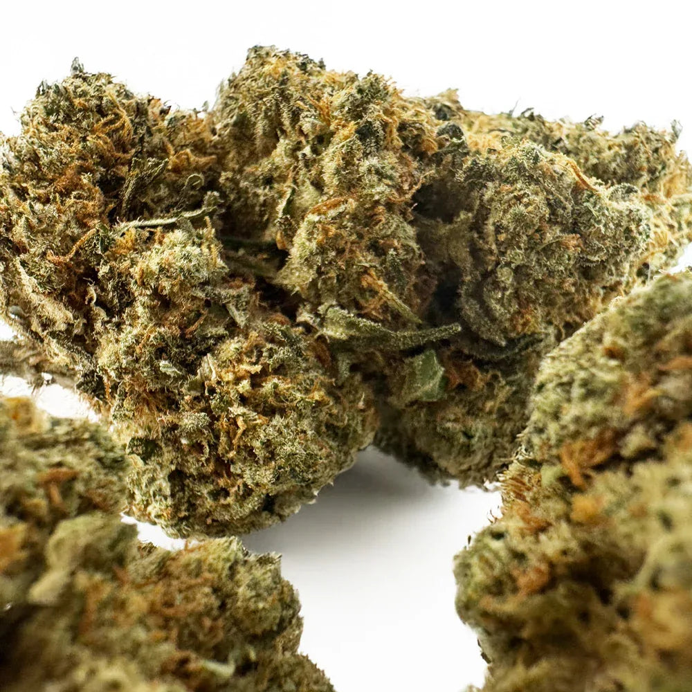Fleur CBD Amnesia Indoor – CloudClub France