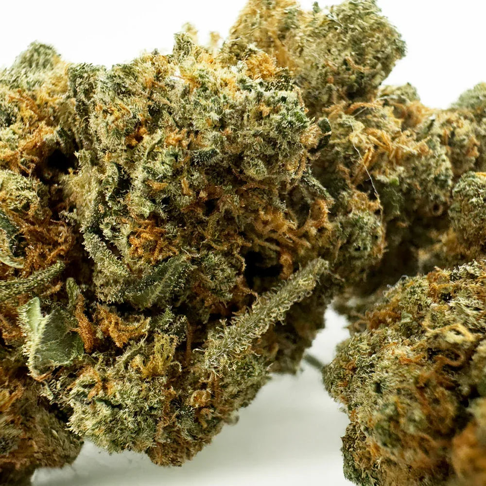 Fleur CBD Amnesia Indoor – CloudClub France