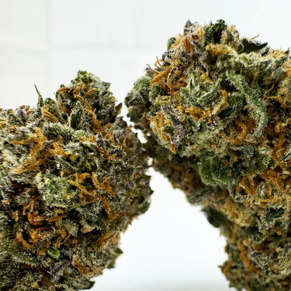 Fleur CBD Cherry Pie Indoor – CloudClub France