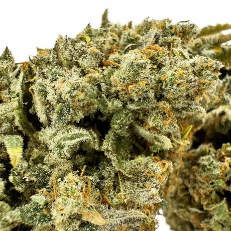 Cookies & Cream - Indoor 16%CBD