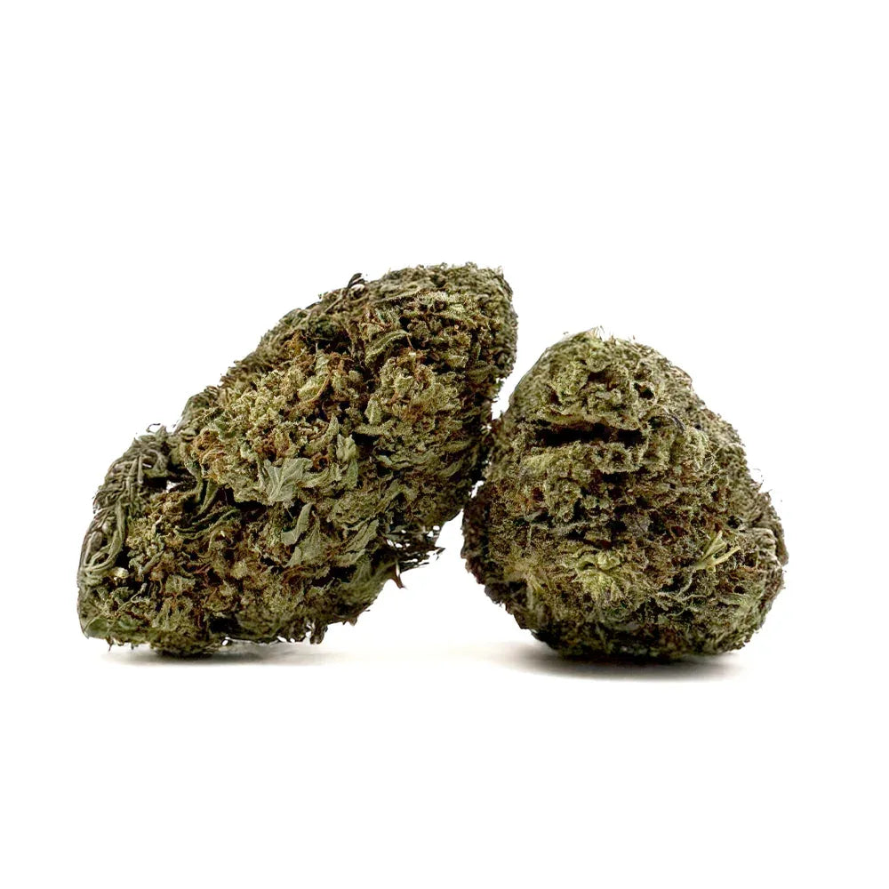 Fleur CBD Critical Greenhouse – CloudClub France