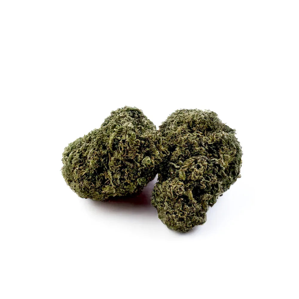 Fleur CBD Gelato 41 Indoor – CloudClub France