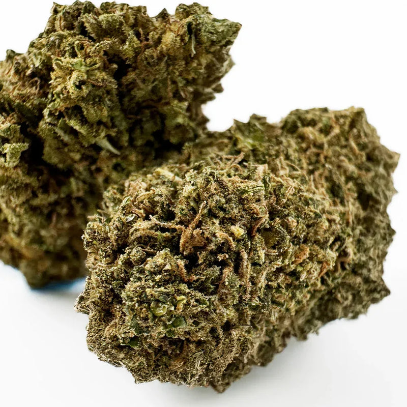 Lemon Meringue - Indoor 14%CBD