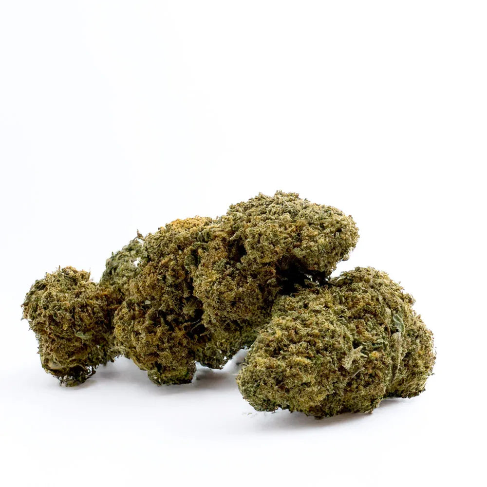 Fleur CBD Orange Bud Greenhouse – CloudClub France