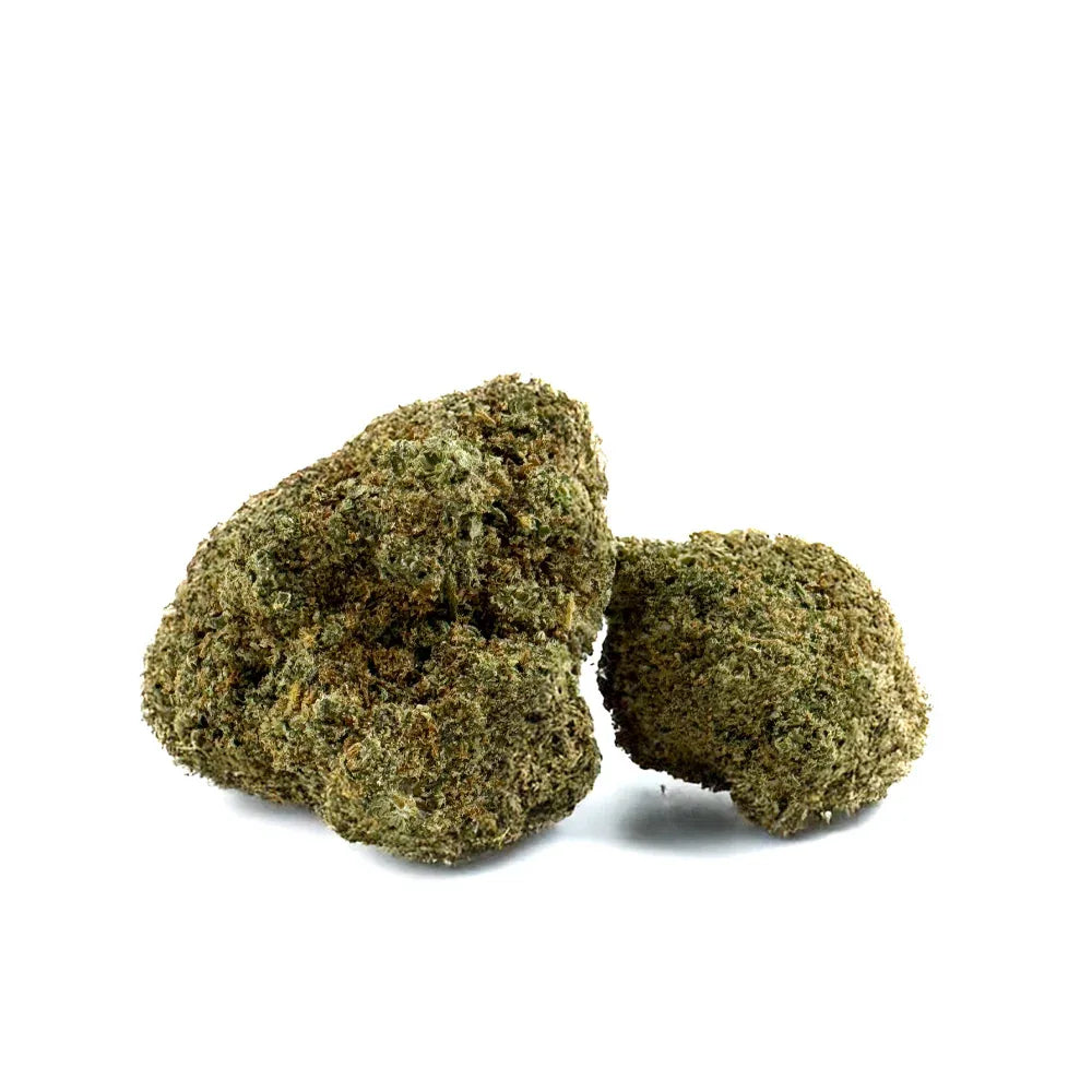 Fleur CBD Rainbow Sherbet Indoor – CloudClub France