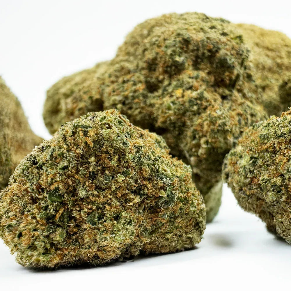 Fleur CBD Rainbow Sherbet Indoor – CloudClub France