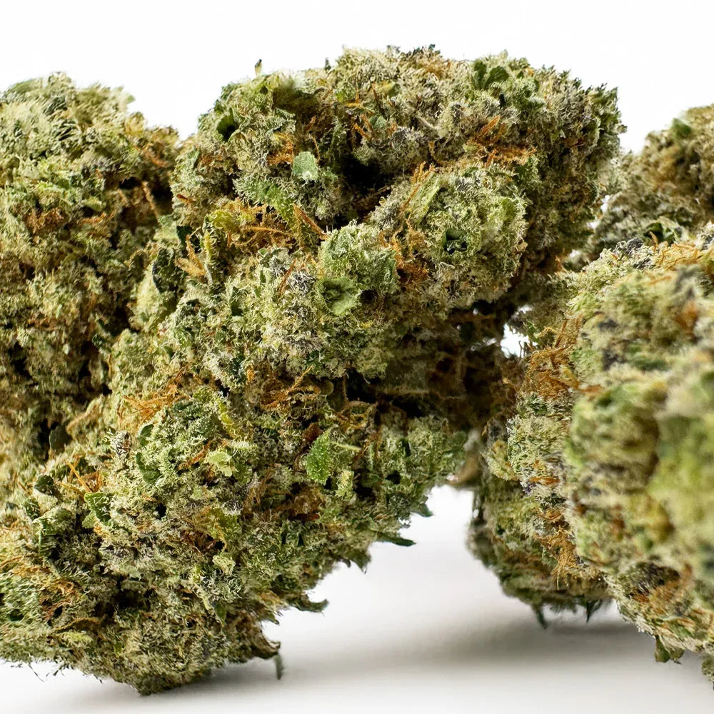 Fleur CBD Zoap Indoor – CloudClub France