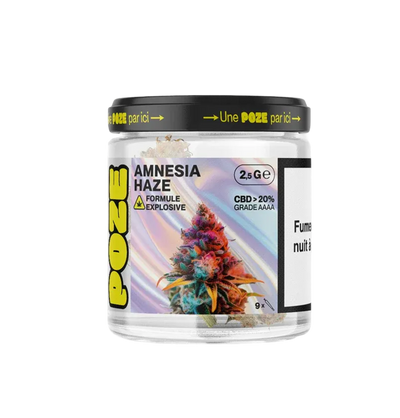 POZE EN POT - FLEUR AMNESIA HAZE EXPLOSIVE 2,5GR