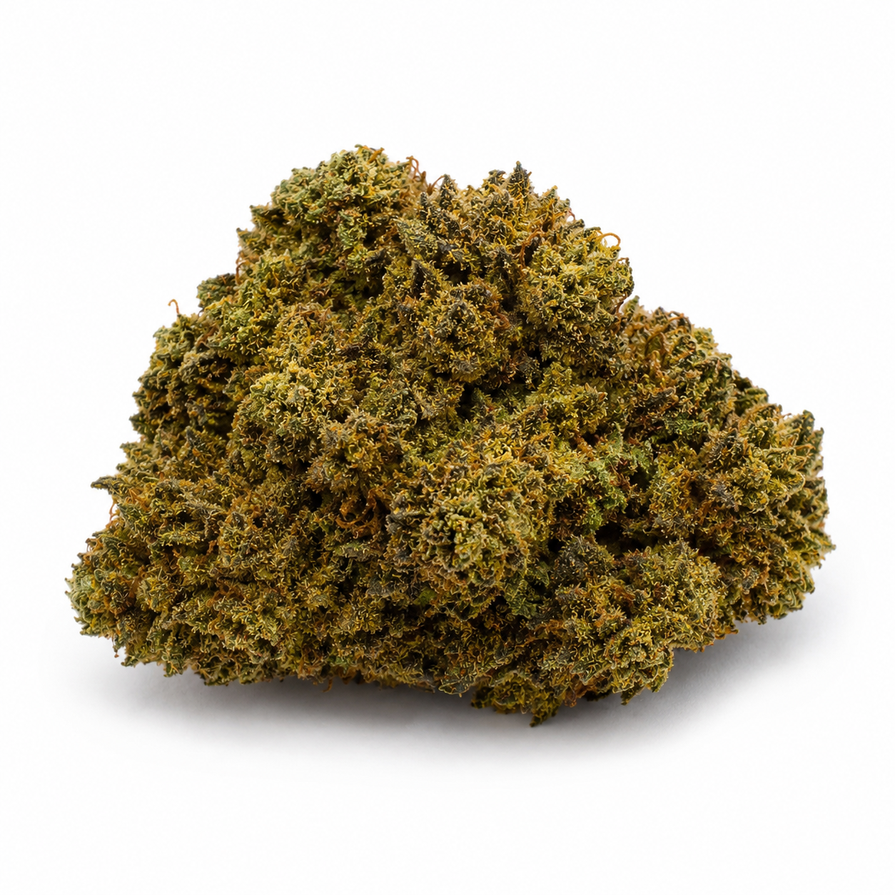Royal Highness Indoor