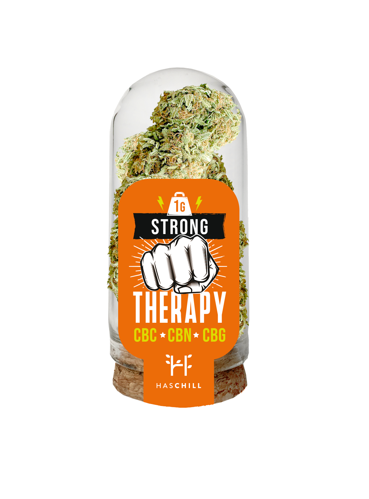 THERAPY STRONG - HASCHILL