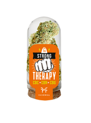 THERAPY STRONG - HASCHILL