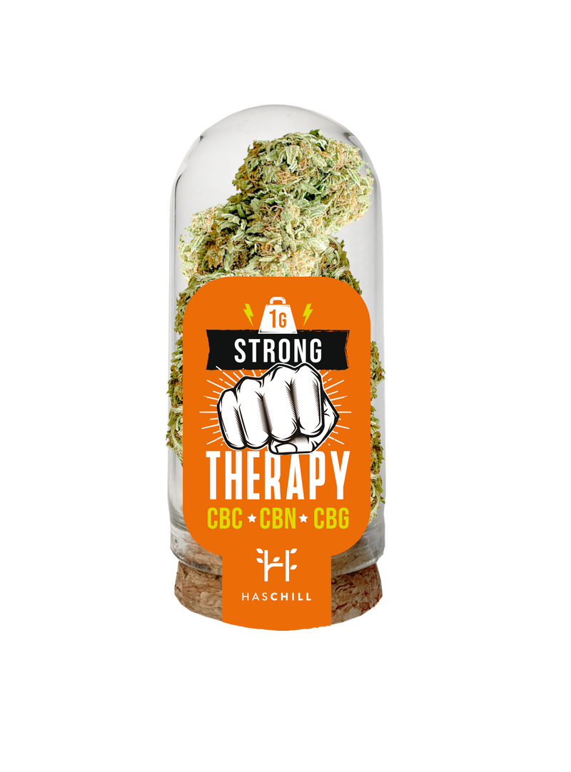 THERAPY STRONG - HASCHILL